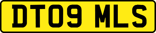 DT09MLS