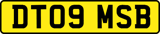 DT09MSB