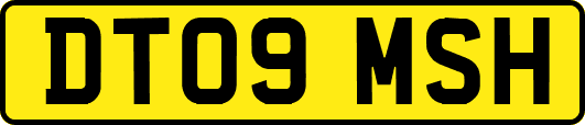 DT09MSH