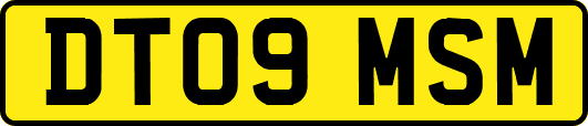 DT09MSM