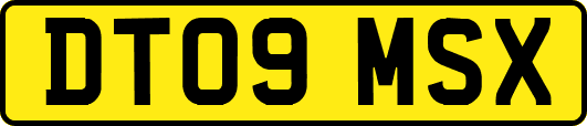 DT09MSX