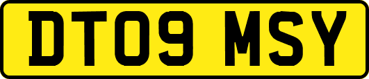 DT09MSY