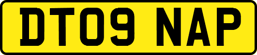 DT09NAP