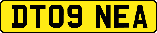 DT09NEA