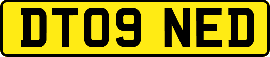DT09NED