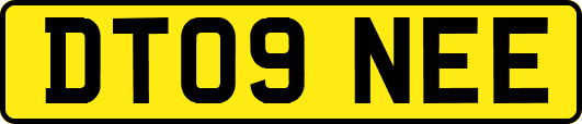 DT09NEE