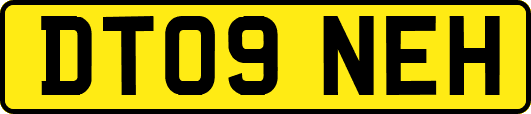 DT09NEH