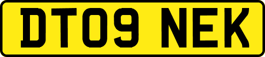 DT09NEK