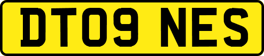 DT09NES