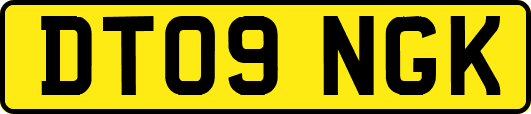 DT09NGK