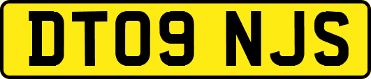 DT09NJS