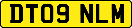 DT09NLM
