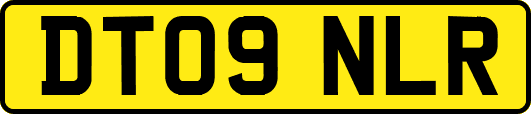 DT09NLR