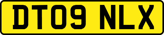 DT09NLX