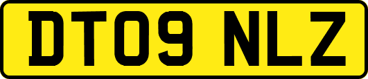 DT09NLZ