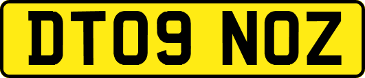 DT09NOZ