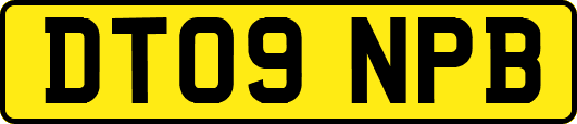 DT09NPB