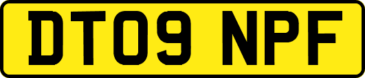 DT09NPF