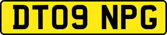 DT09NPG