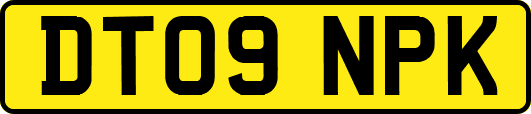 DT09NPK