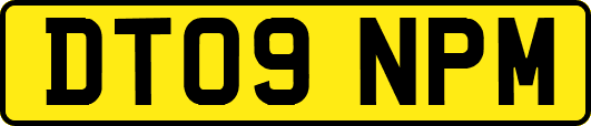 DT09NPM