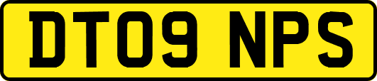 DT09NPS