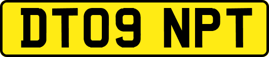 DT09NPT