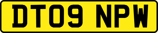 DT09NPW