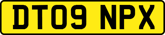 DT09NPX