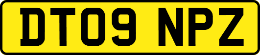 DT09NPZ