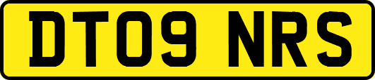 DT09NRS
