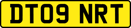 DT09NRT