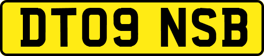 DT09NSB