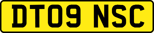 DT09NSC