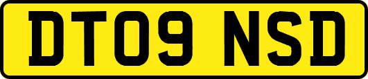 DT09NSD