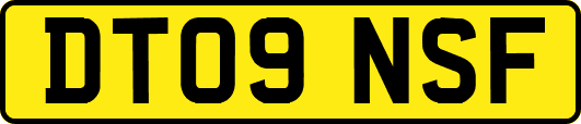 DT09NSF