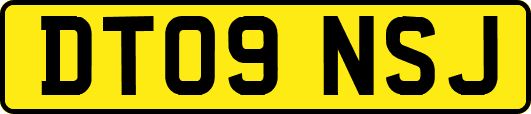 DT09NSJ