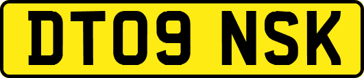 DT09NSK