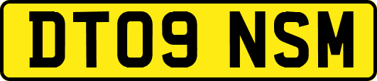 DT09NSM