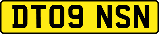 DT09NSN