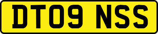 DT09NSS