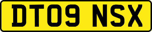 DT09NSX
