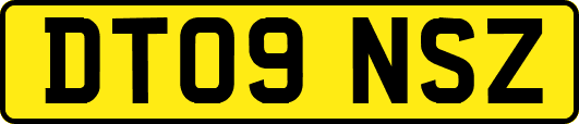 DT09NSZ