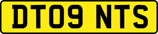 DT09NTS