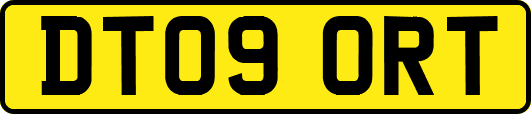 DT09ORT