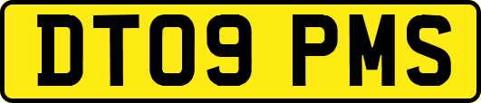 DT09PMS