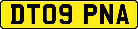 DT09PNA