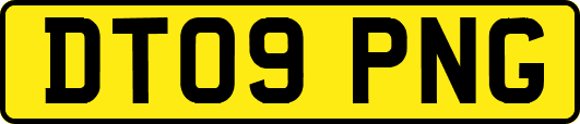 DT09PNG