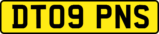 DT09PNS