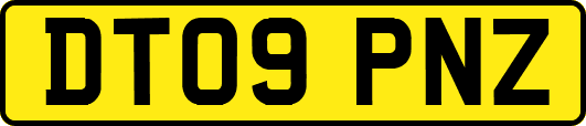 DT09PNZ